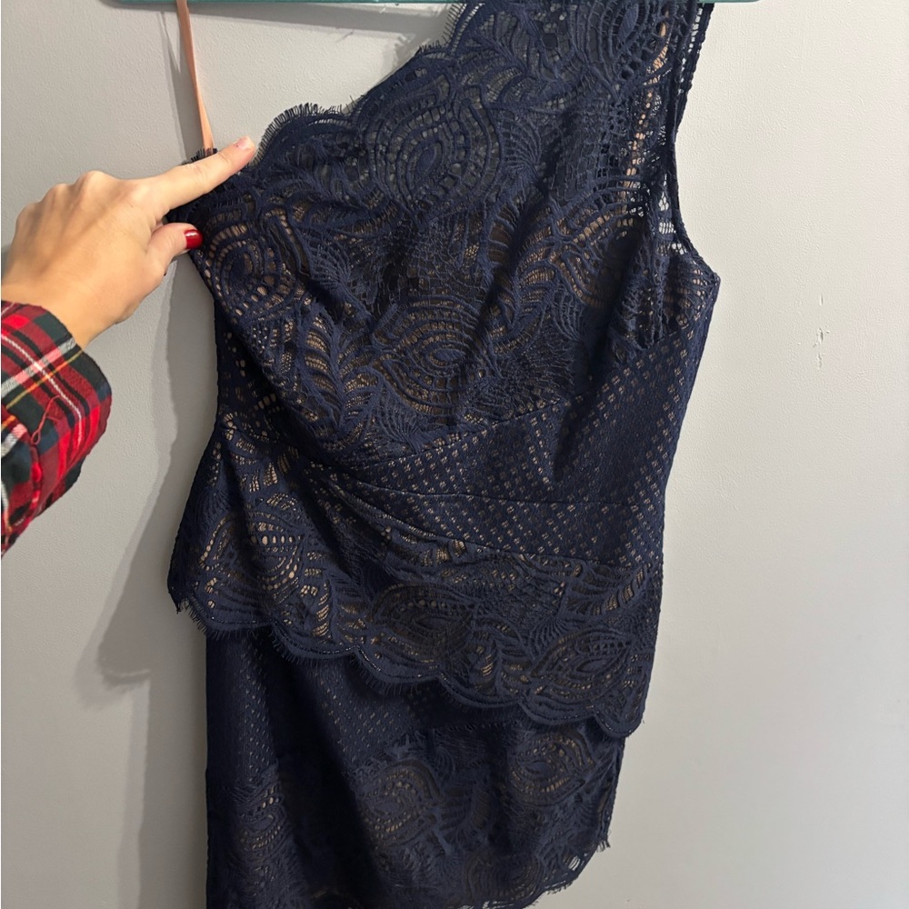 BCBGMaxAzria Navy and Beige Lace Dress